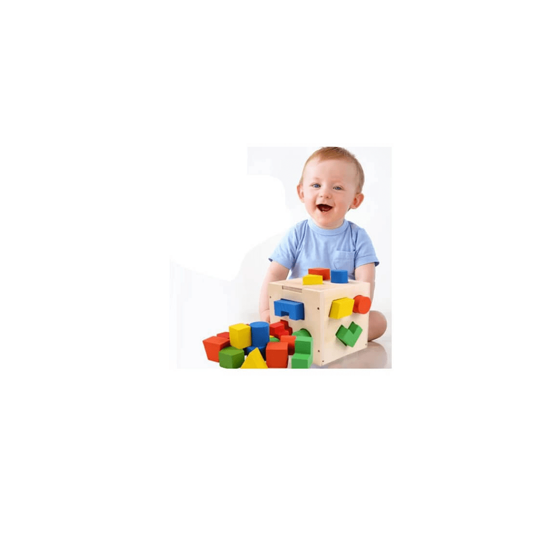 The Clever Clogs Toys The Clever Clogs 15 Shapes Sorter Box (3 Year+)