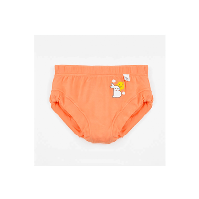 Magic Lamps Clothing SuperBottom Baby Breif Underwear Pack of 4 (6Months-4Years)