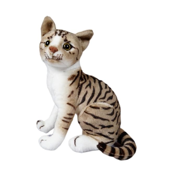 Cat Plush Toy