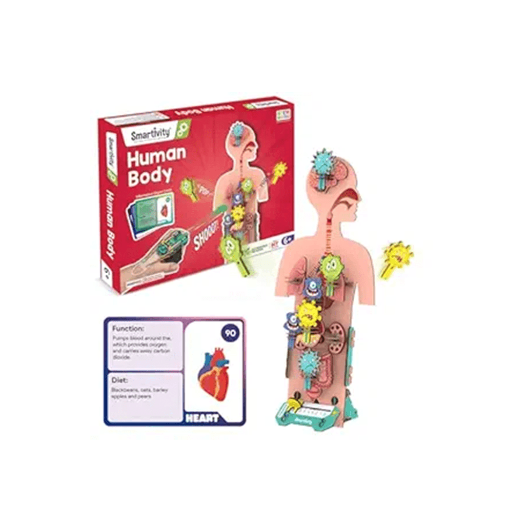Smartivity Brain Boosting Smartivity Human Body | DIY STEM Construction Toy ( 6 Year+ )