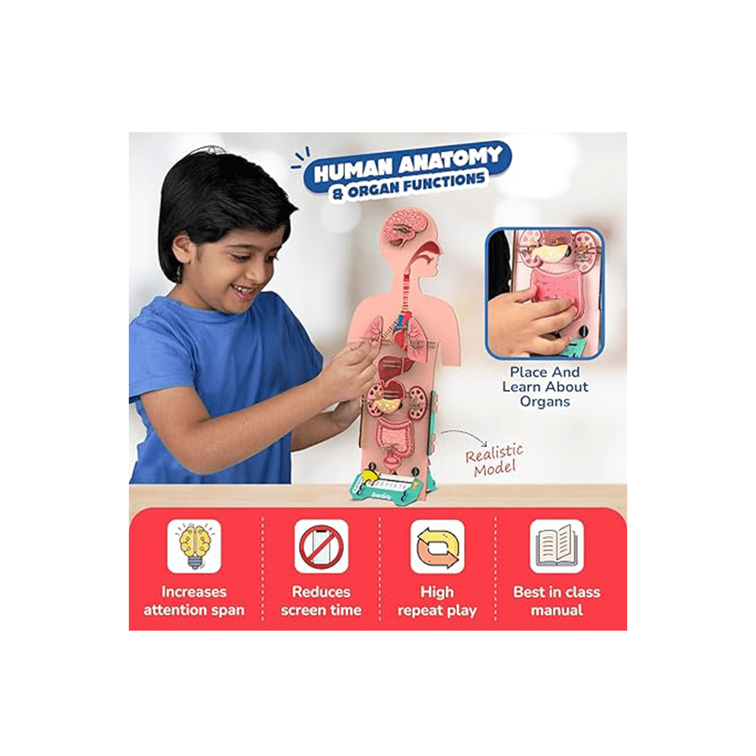Smartivity Brain Boosting Smartivity Human Body | DIY STEM Construction Toy ( 6 Year+ )