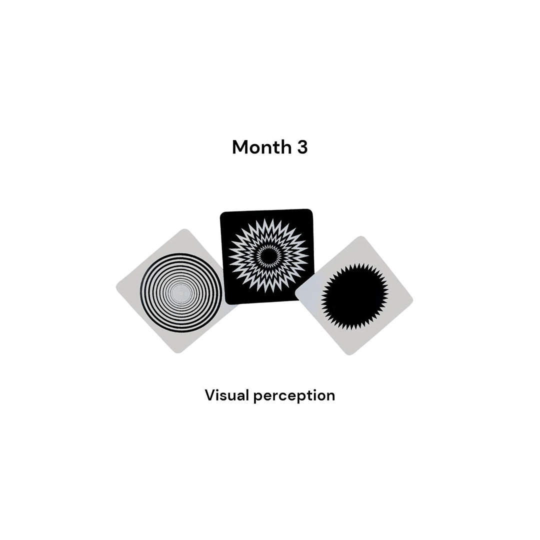 B4brain Brain Boosting B4brain Newborn cards( 0-4 month )