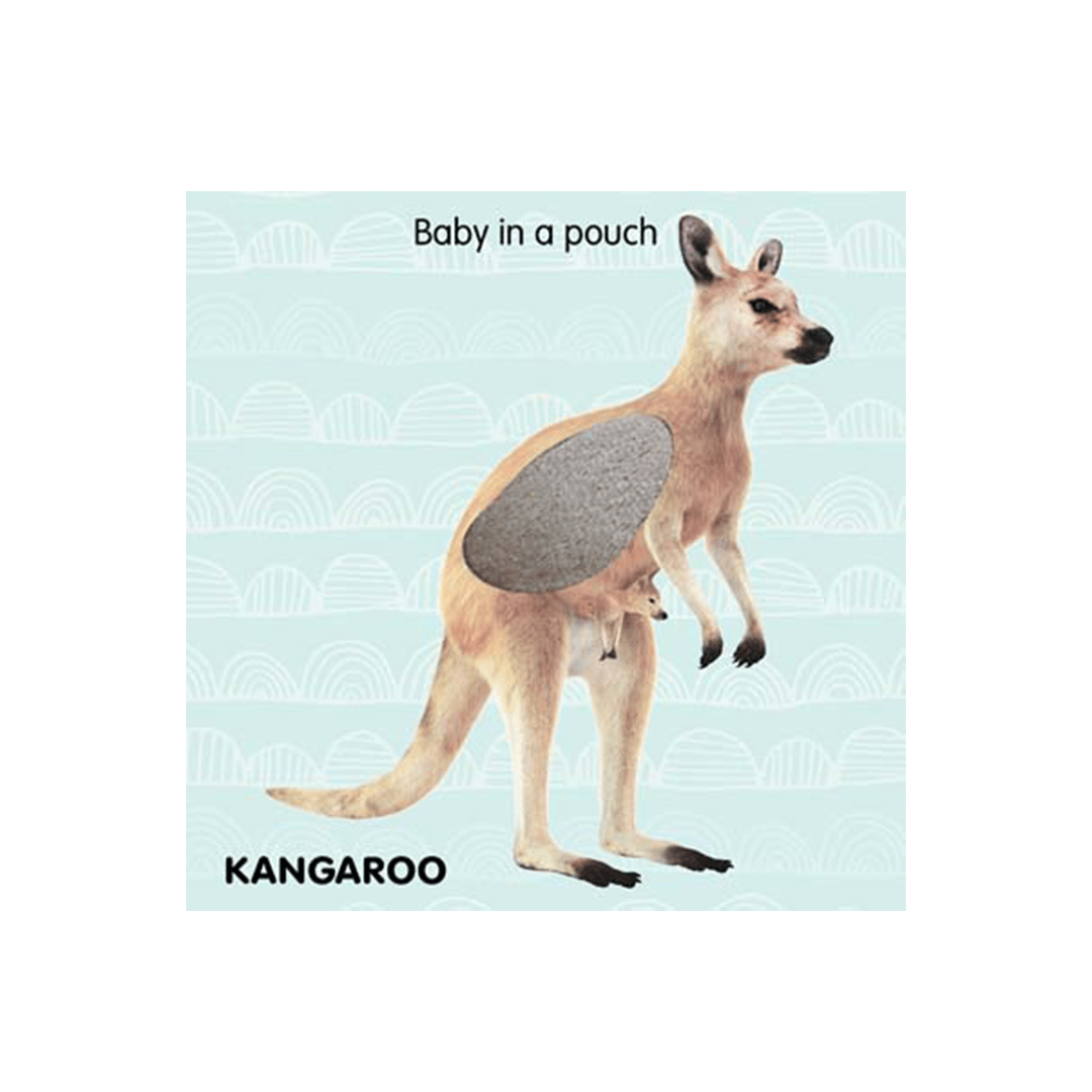 Dreamland Publications Books Dreamland Touch and Feel - Jungle Animals (1 Years+)