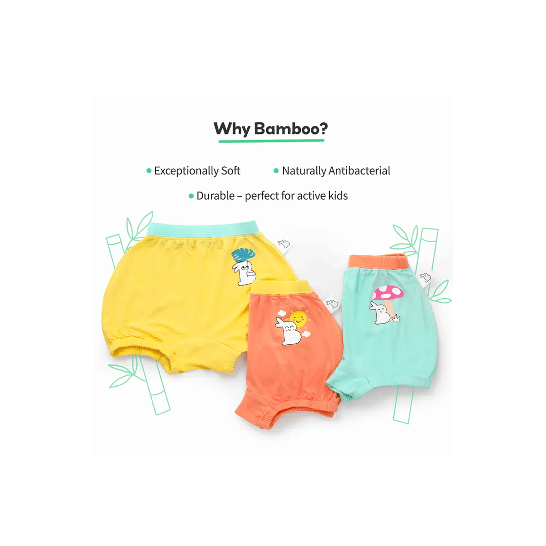 SuperBottoms Clothing SuperBottom Baby Bloomers Underwear Nature Pack of 4( 6Months - 4Years)