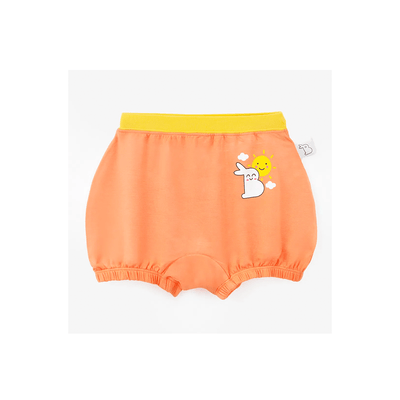 SuperBottoms Clothing 6-9 Months SuperBottom Baby Bloomers Underwear Nature Pack of 4( 6Months - 4Years)