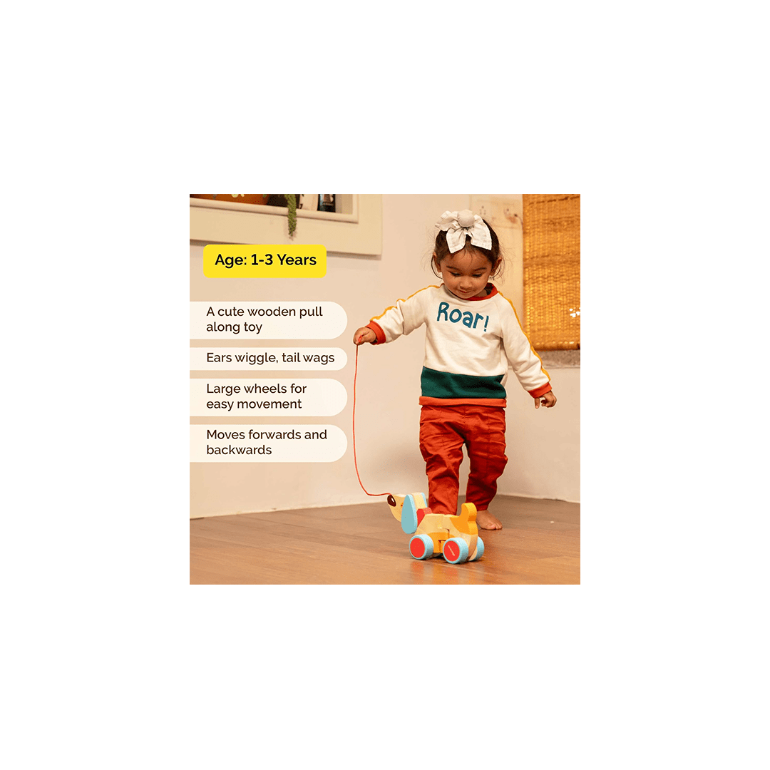 Shumee Toys Shumee Wooden Dog Pull Along Toy - Bruno (1 Years+)