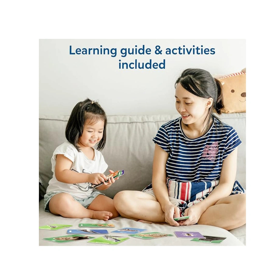 Skillmatics Flash Cards Combo · 100 Cards · Animals, Letters & First 100 Words · Ages 2–4