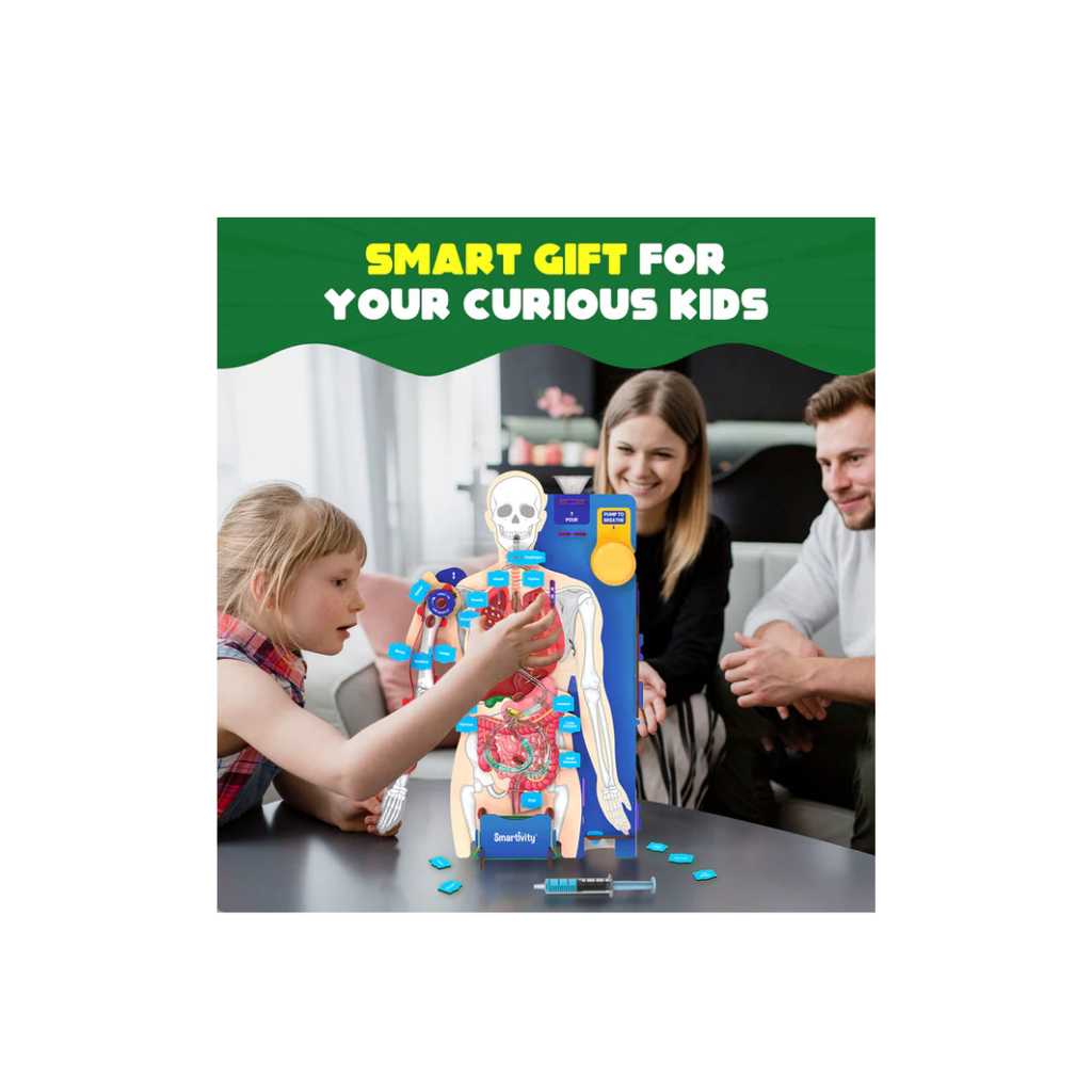 Smartivity Interactive Human Body