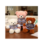 Teddy Bear Plush Soft Toy with Knitted Sweater