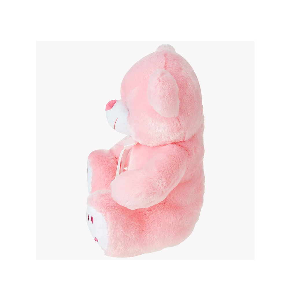 TY Teddy (3 Colour)
