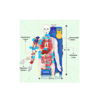 Smartivity Interactive Human Body