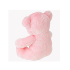 TY Teddy (3 Colour)