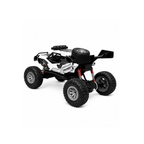 4x4 RC Off-Road Monster Truck