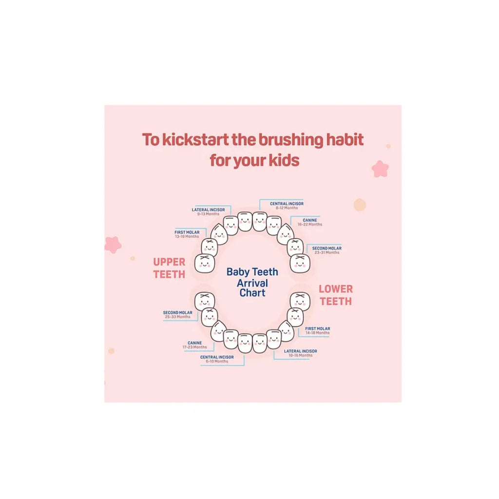 Pigeon Kids Toothbrush with free Tooothpaste, Soft Rounded Bristles Baby & Kids Toothbrush with Easy-Grip Handle, BPA-Free Child-Safe Material, Gentle Oral Care Toothbrush for Toddlers & Growing Kids (2 Years+)