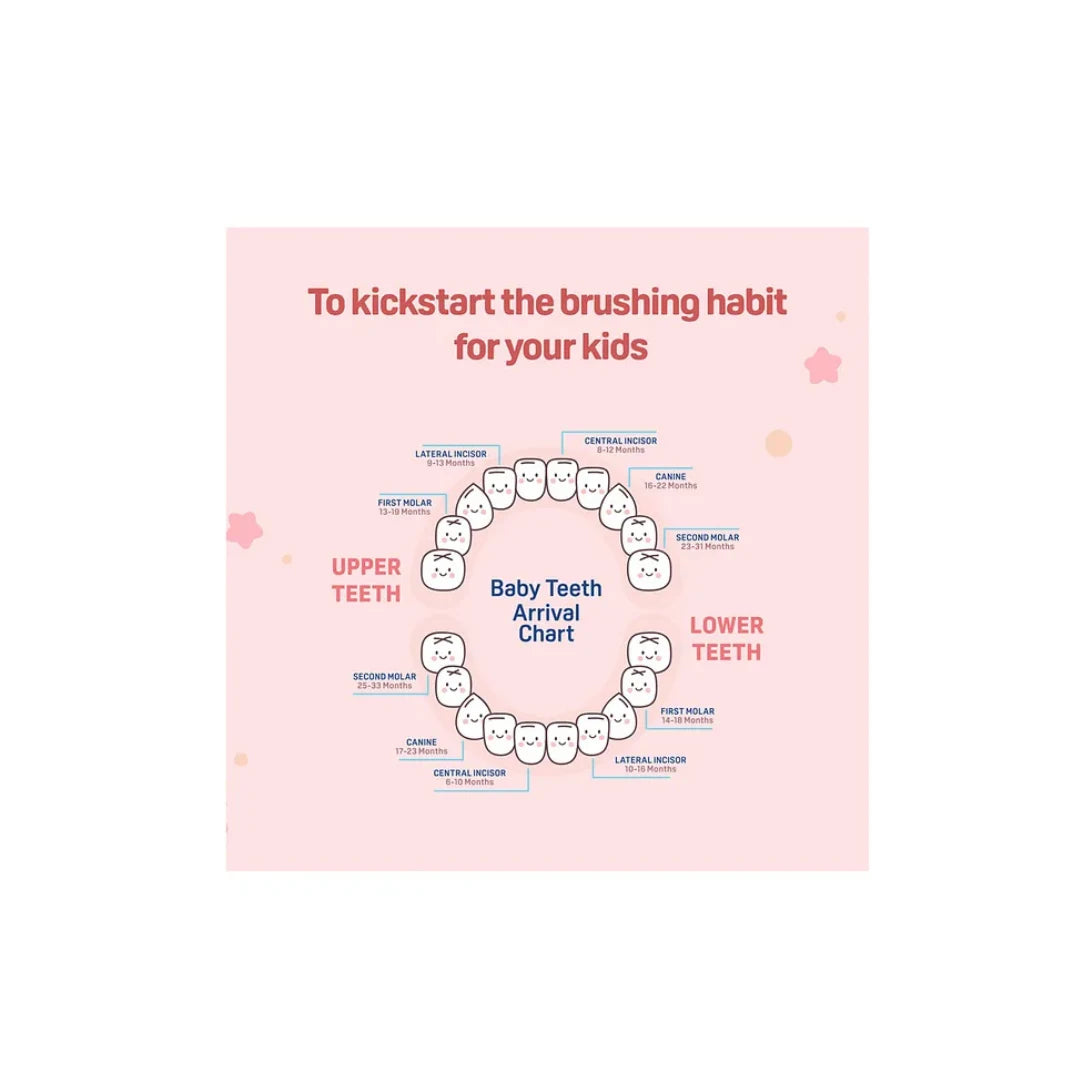 Pigeon Kids Toothbrush with free Tooothpaste, Soft Rounded Bristles Baby & Kids Toothbrush with Easy-Grip Handle, BPA-Free Child-Safe Material, Gentle Oral Care Toothbrush for Toddlers & Growing Kids (2 Years+)