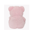 TY Teddy (3 Colour)