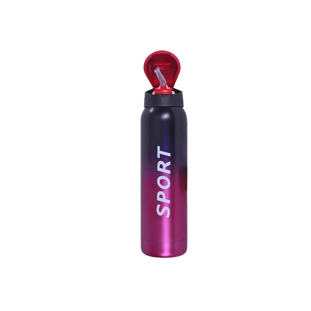Stainless Steel Sports Water Bottle - Flip Top Lid, Insulated, BPA-Free