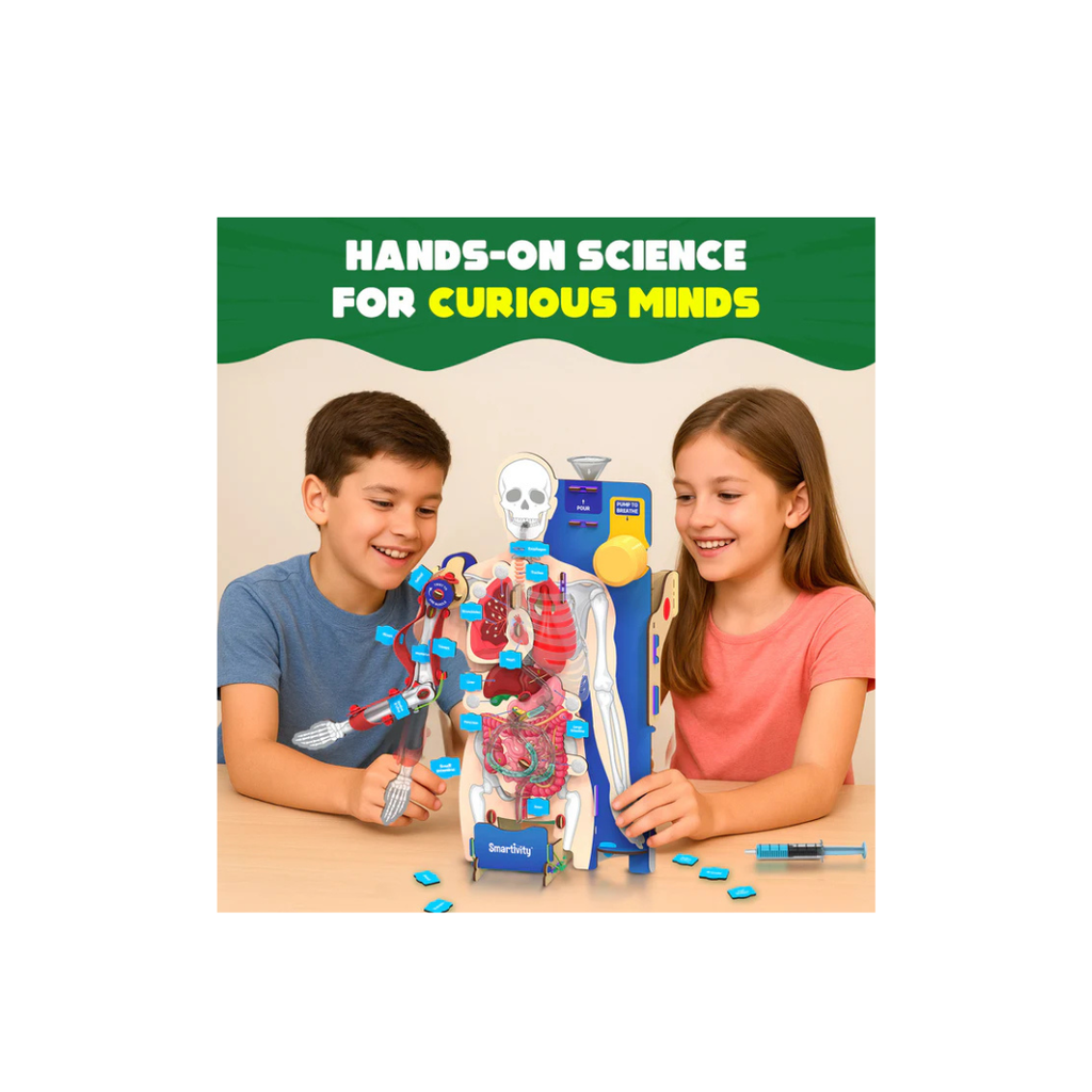Smartivity Interactive Human Body