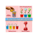 Educational Learning Toy for Home & School Projects