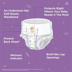 Snuggy Baby Diaper Pants Medium, 6-11 kgs, Rapid Absorption, Anti - Bacterial