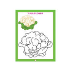 Dreamland Vegetables Copy Colour Book for Kids, 16 Educational Vegetable Illustrations with Names, Colouring Activity Book for Early Learn (3Years+)