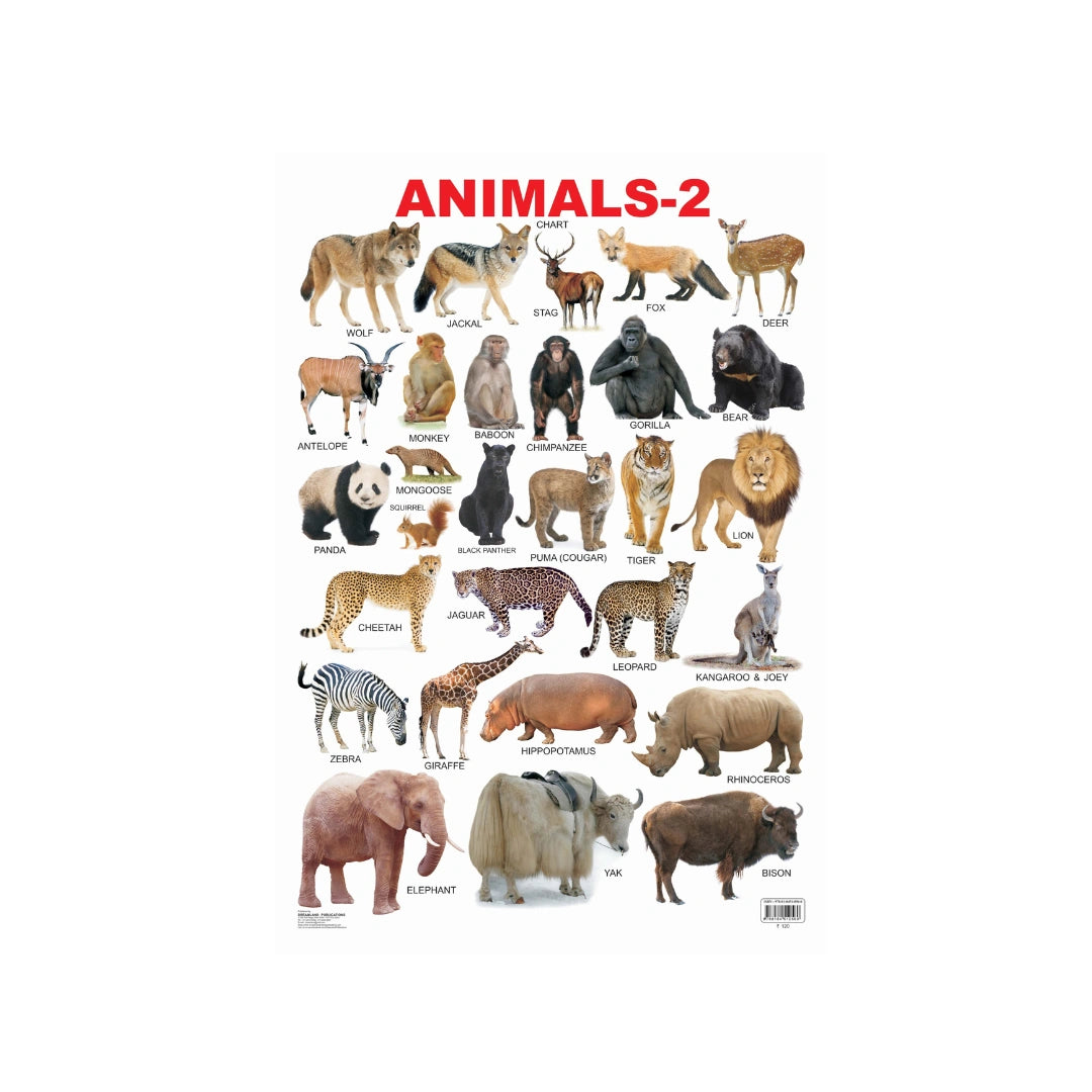 Children’s animal chart with different animals and names.