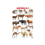 Children’s animal chart with pictures and names.