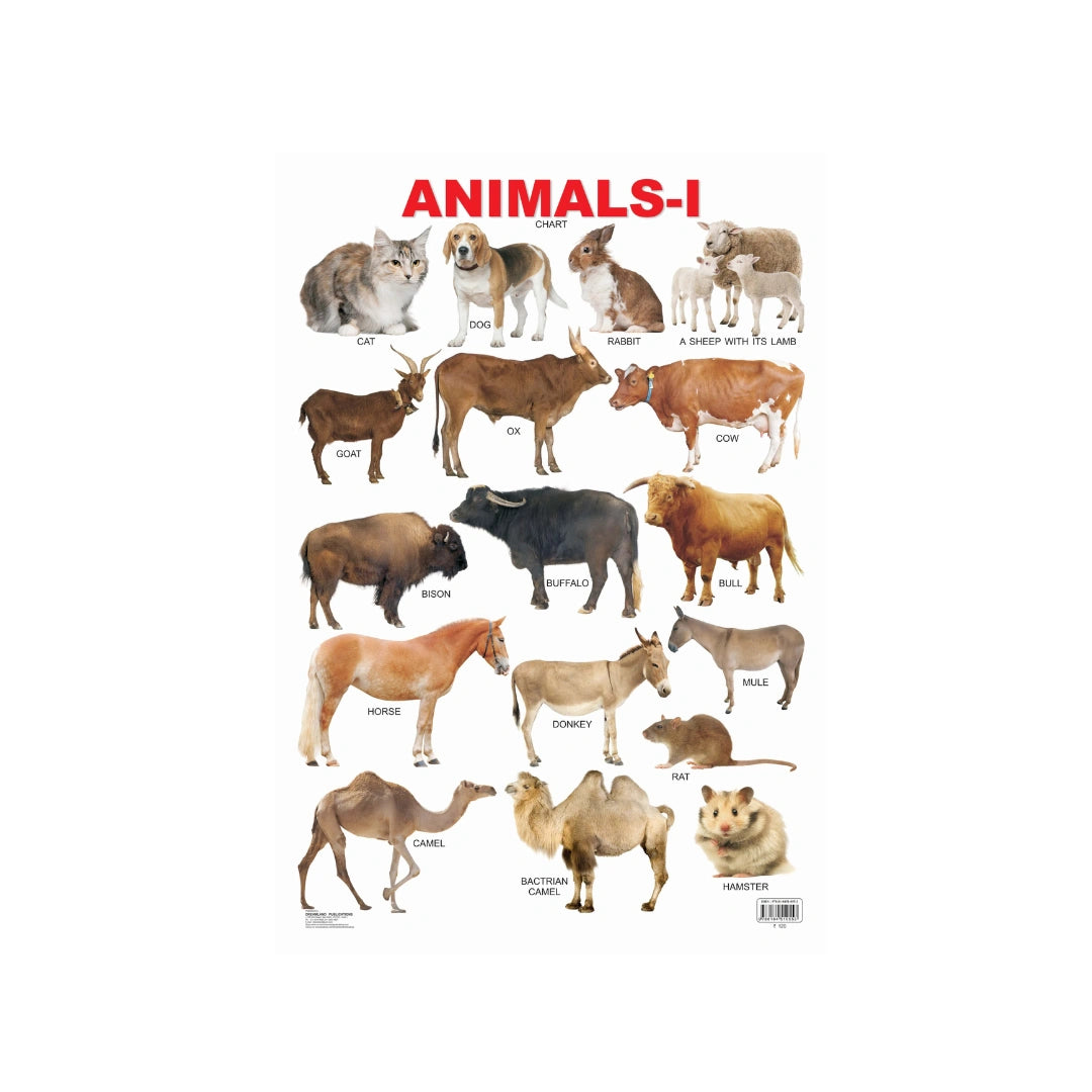 Children’s animal chart with pictures and names.