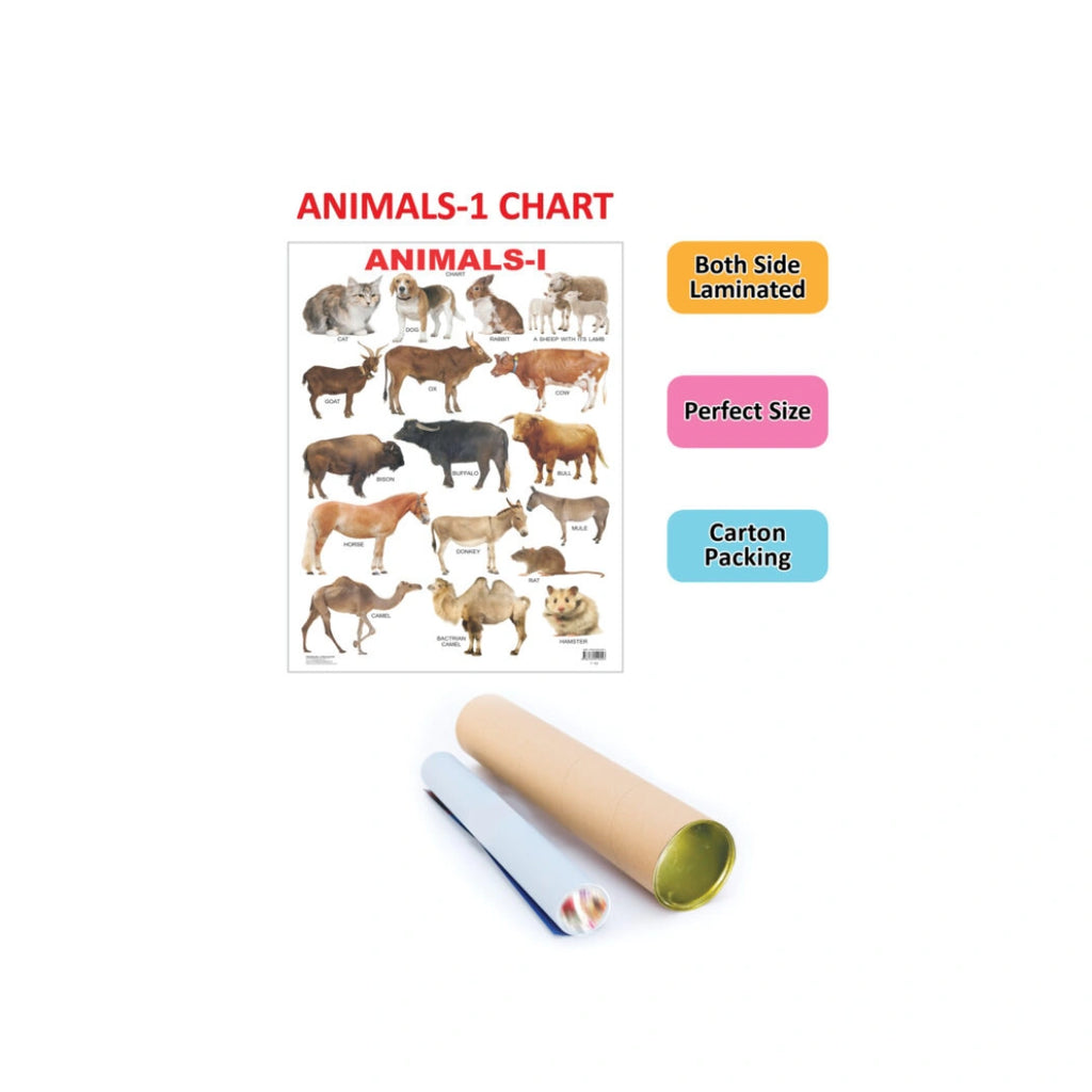 Children’s animal chart with pictures and names.