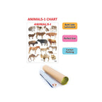 Children’s animal chart with pictures and names.