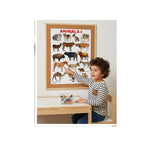 Children’s animal chart with pictures and names.