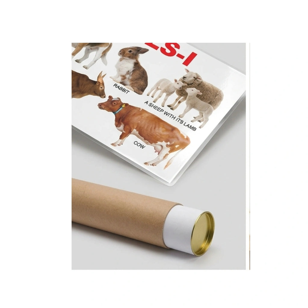 Children’s animal chart with pictures and names.