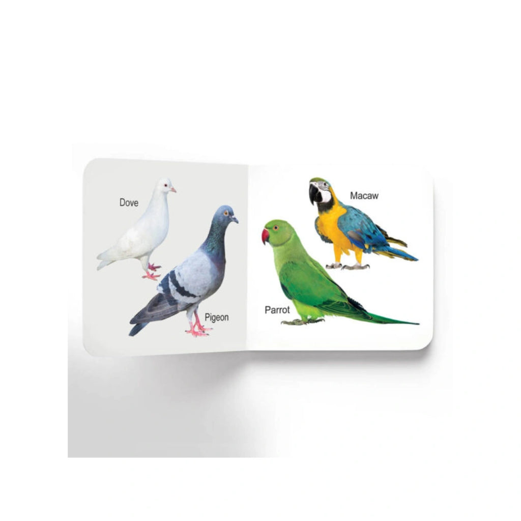 Early Learning Birds Board Book