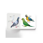 Early Learning Birds Board Book