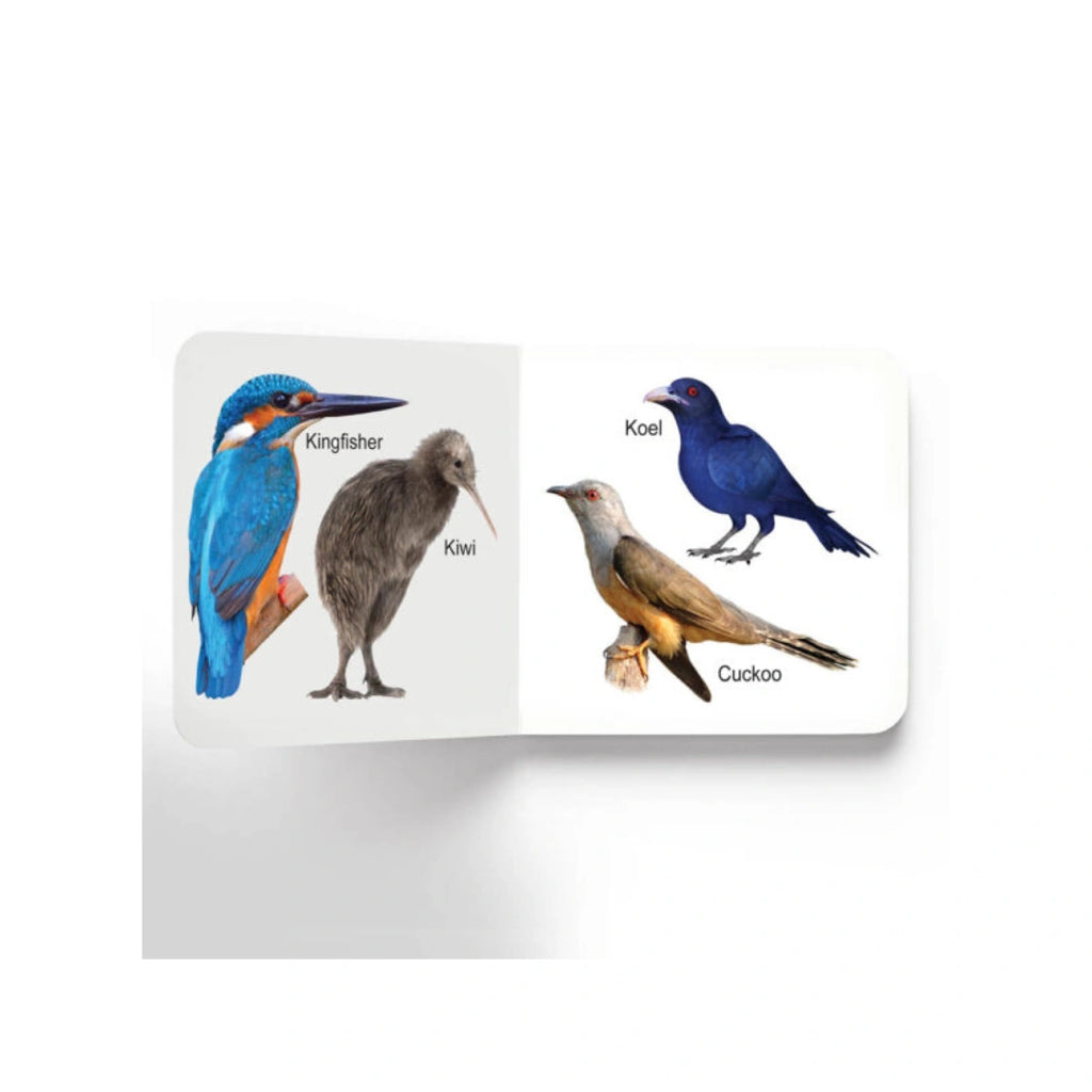 Early Learning Birds Board Book
