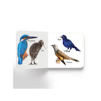 Early Learning Birds Board Book