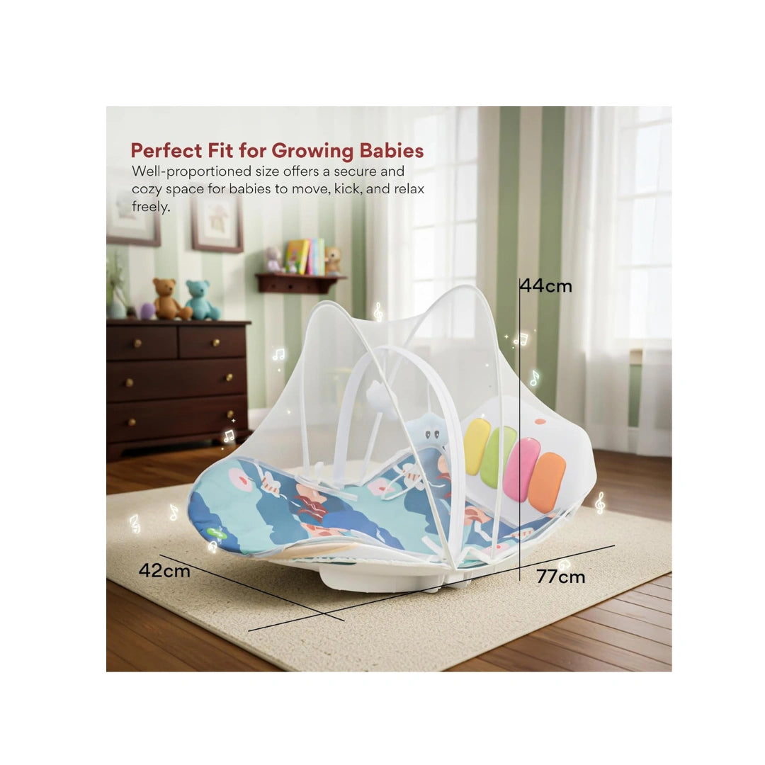 play gym rocker with mosquito net