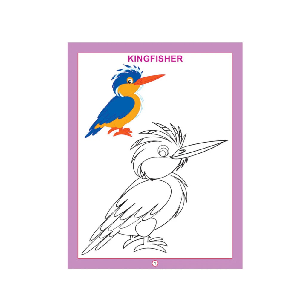 Bird colouring book with bird pictures for kids.