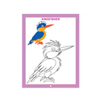 Bird colouring book with bird pictures for kids.