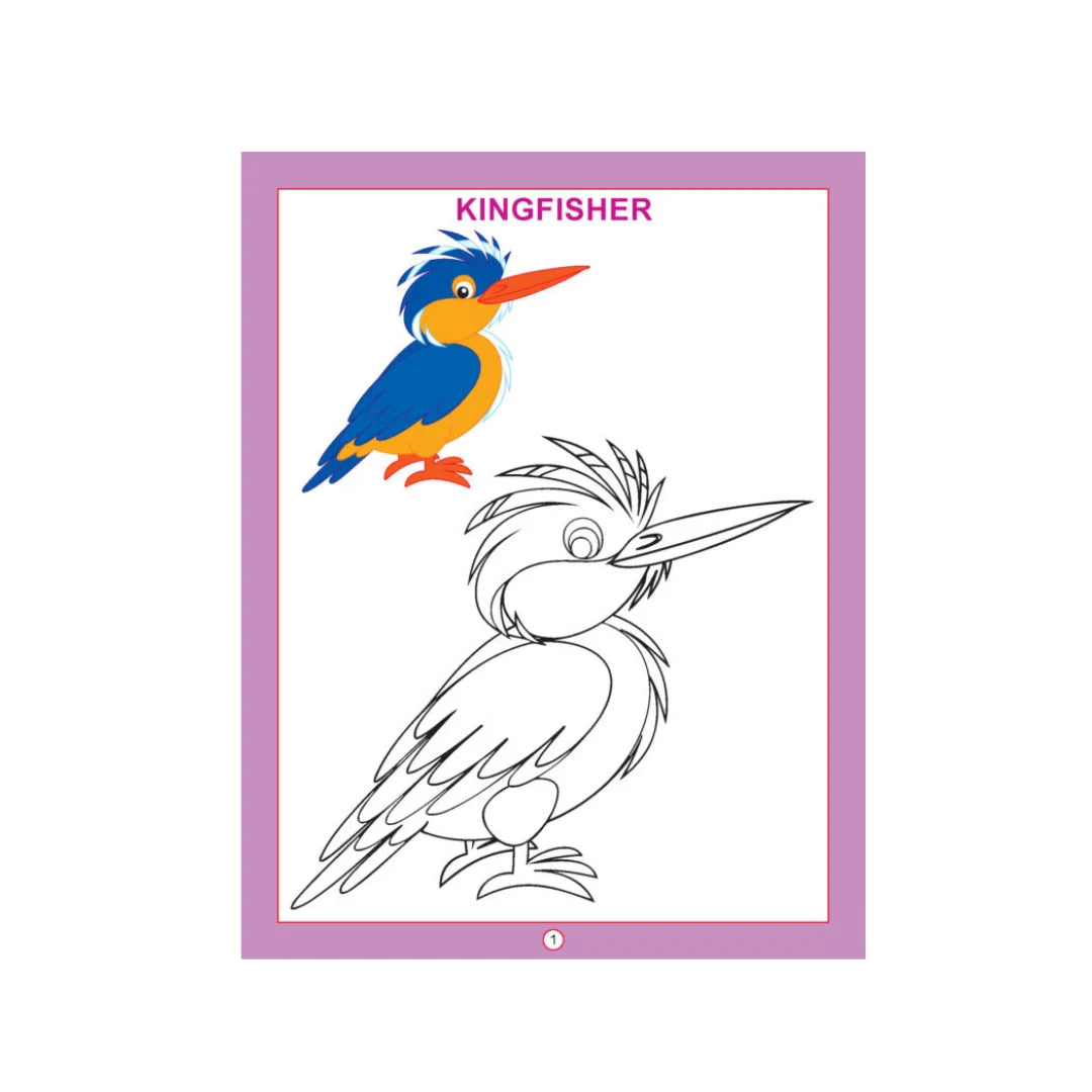 Bird colouring book with bird pictures for kids.