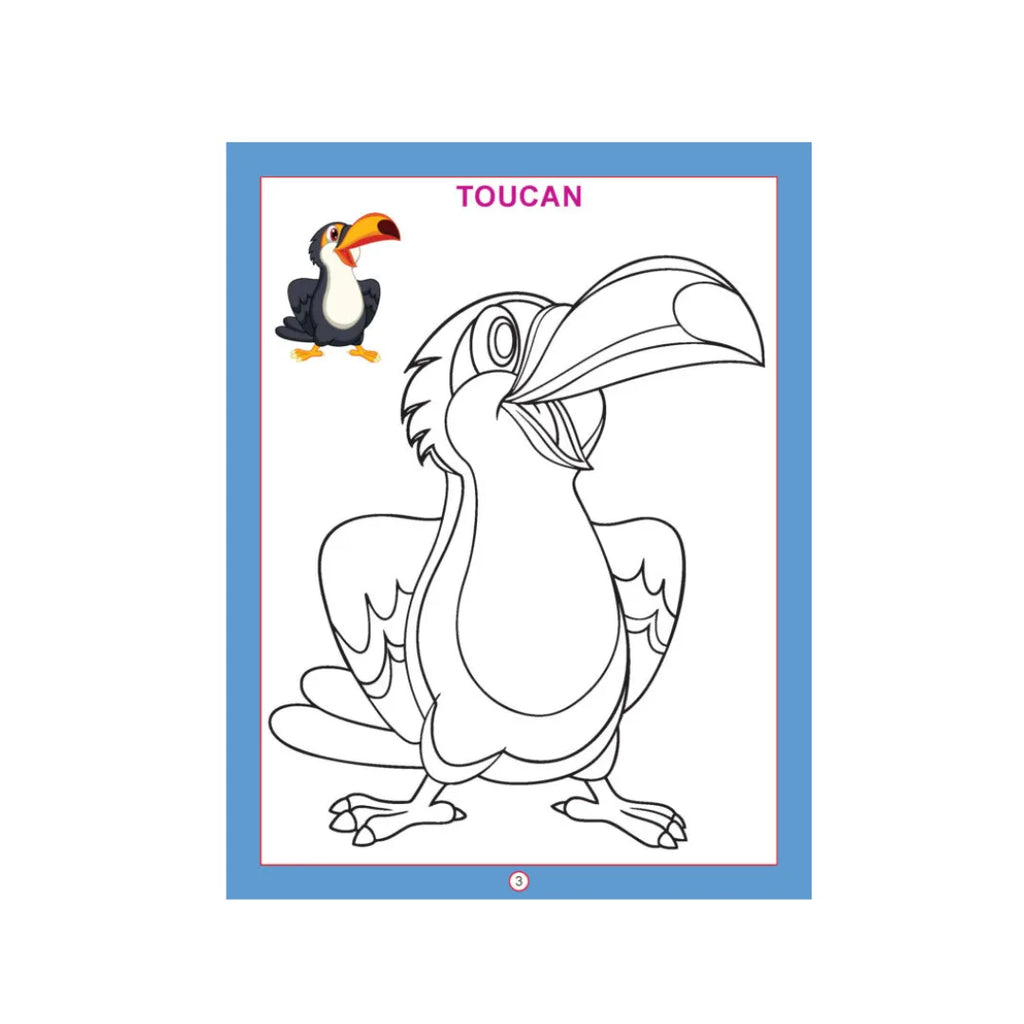 Bird colouring book with bird pictures for kids.