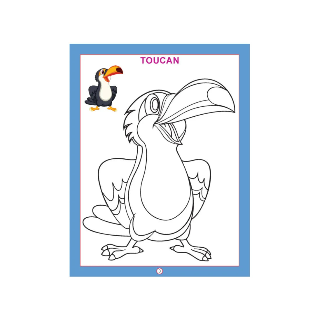 Bird colouring book with bird pictures for kids.