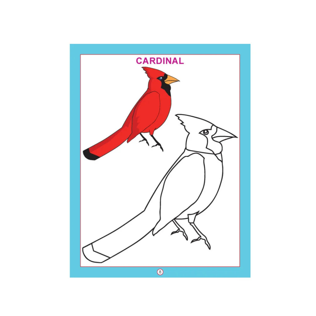Bird colouring book with bird pictures for kids.