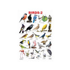 Birds learning chart for kids.