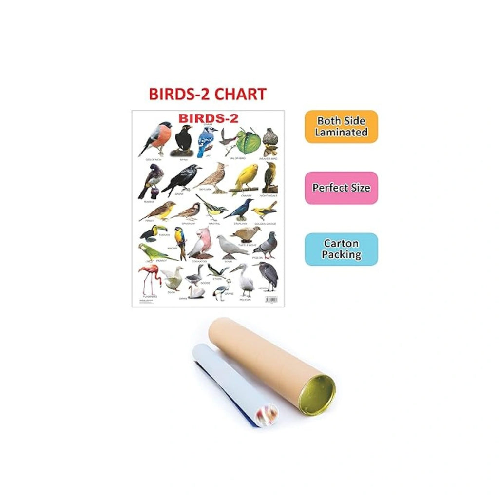 Birds learning chart for kids.