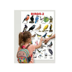 Birds learning chart for kids.