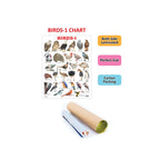 Children’s birds chart with pictures and names.