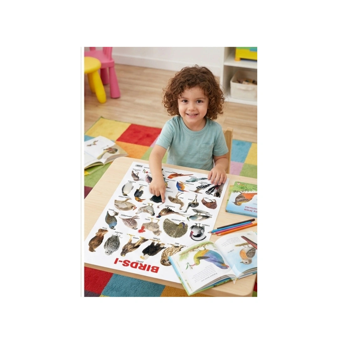 Children’s birds chart with pictures and names.