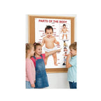 Children’s body parts learning chart with labels and pictures.
