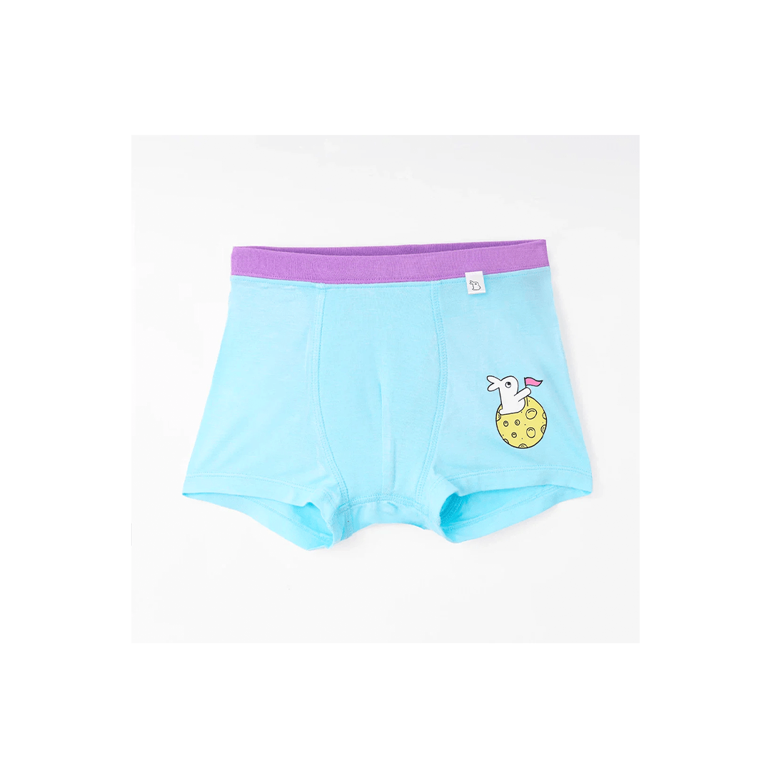SuperBottoms Clothing SuperBottom Boys Trunks - Set of 4 (4-8 Years)